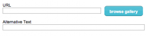 picture of alternate text field in mailchimp